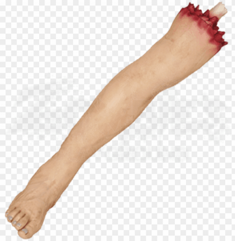 severed leg - severed leg PNG Image Isolated with Transparent Detail
