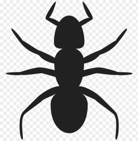 shadow clipart spider - ant clip art Transparent PNG stock photos