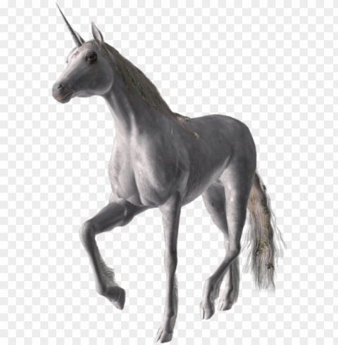 share this image - horse Isolated Element on HighQuality PNG PNG transparent with Clear Background ID ee7995eb