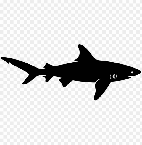 shark clipart shape - shark silhouette vector Isolated Object on Clear Background PNG