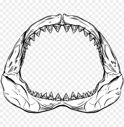 shark jaw drawing at getdrawings - shark jaw drawi PNG photos with clear backgrounds