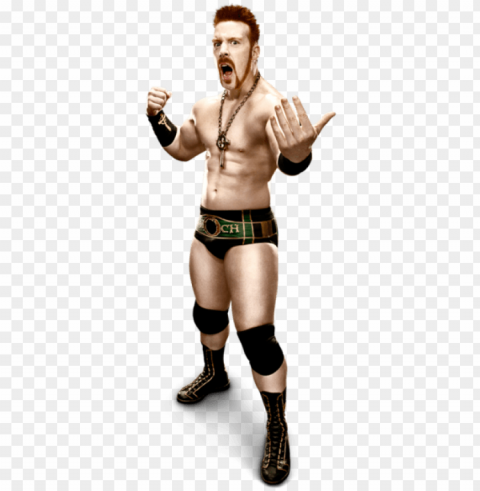 sheamus - wrestling action figure Transparent PNG Isolated Graphic Detail