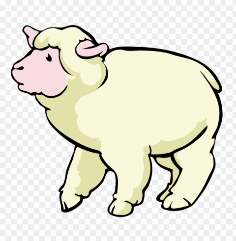 Sheep Images Isolated Graphic With Transparent Background PNG