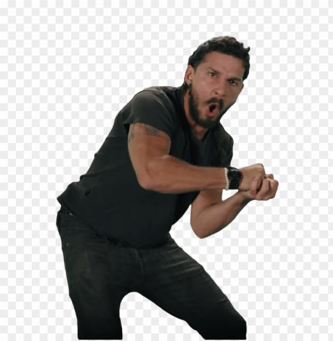 shia labeouf fists PNG with Isolated Object PNG transparent with Clear Background ID 1fb5d754