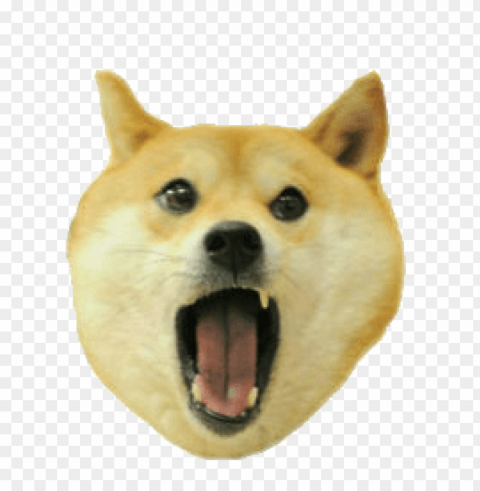 shiba inu barking Transparent graphics PNG