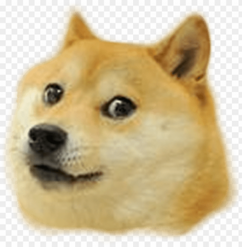 shiba meme Free PNG download no background