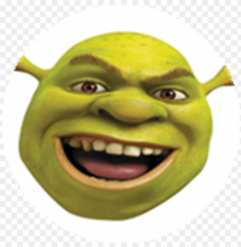 shrek head - look and find shrek forever after book PNG Image Isolated on Transparent Backdrop