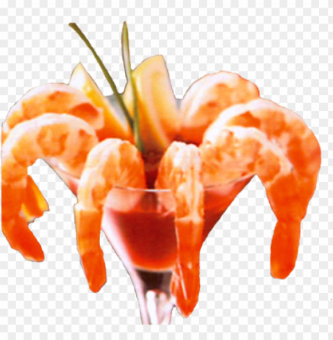 shrimp cocktail - caridean shrim Isolated Element with Clear PNG Background