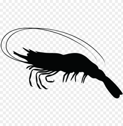 shrimps - silhouette shrim Isolated Artwork in HighResolution PNG