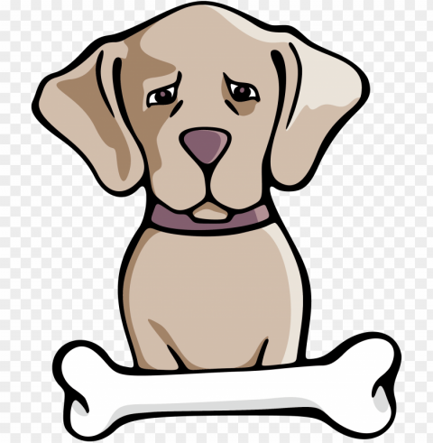 siberian husky puppy pet illustration - dog vector Clear PNG graphics free PNG transparent with Clear Background ID 69ee4183