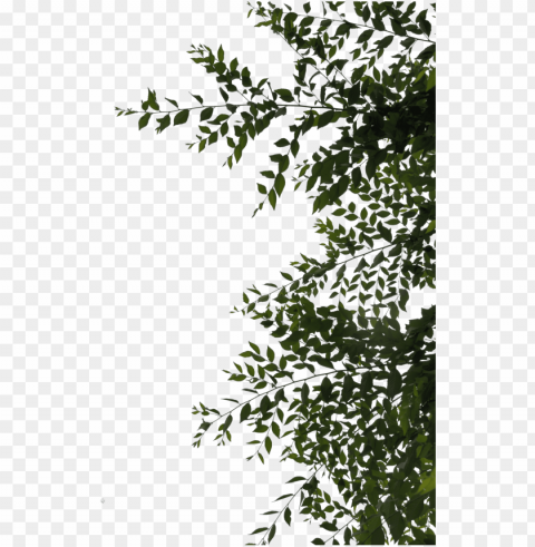 sidebar or overhang leaves by evelivesey - leaves deviantart Isolated PNG Graphic with Transparency