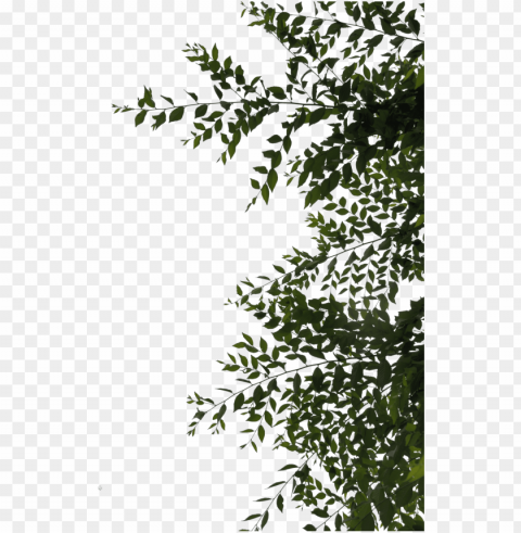 sidebar or overhang leaves by evelivesey - leaves deviantart Isolated PNG Graphic with Transparency PNG transparent with Clear Background ID cec501b9