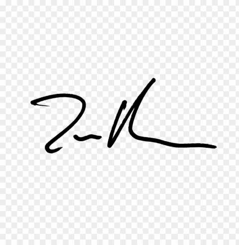 signature simple Transparent PNG Isolated Subject