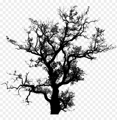 silhouette big image - tree silhouette vector Isolated Subject in HighQuality Transparent PNG