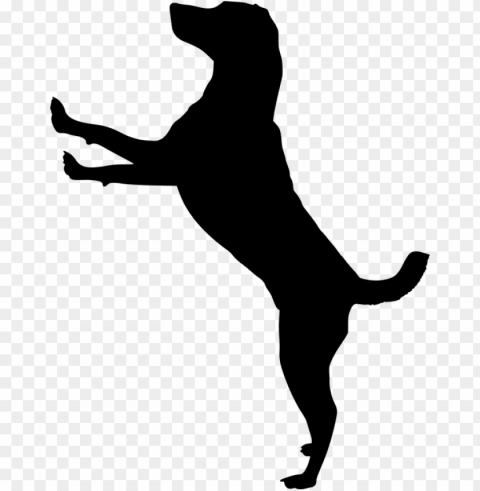silhouette dog doggy animal dog house pet run - dog jumping silhouette PNG no watermark