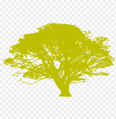 silhouette family tree roots PNG transparent icons for web design