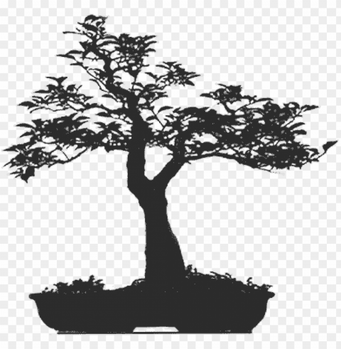 sillouhette - - bonsai tree Isolated Subject in Clear Transparent PNG