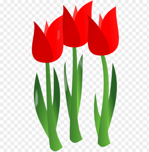similar- mothers dayflower Isolated Character on Transparent PNG