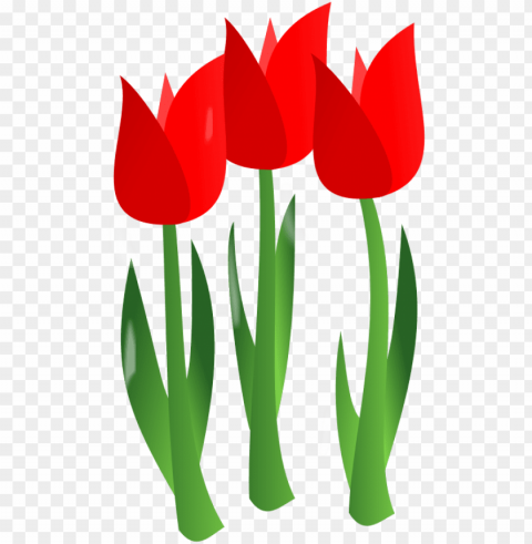 Similar- Mothers Dayflower Isolated Character On Transparent PNG