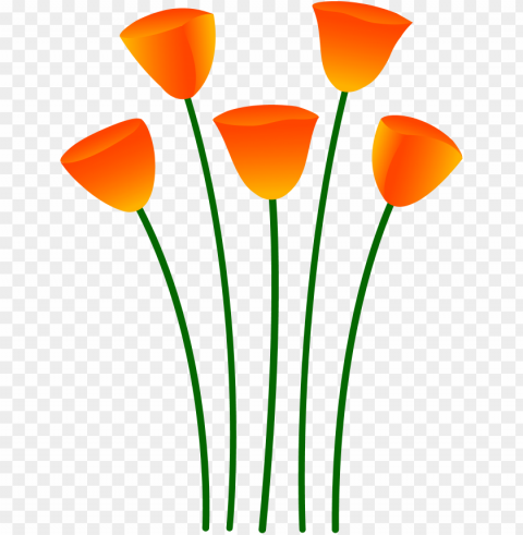 single flower in vase - clip art orange flowers Alpha channel PNGs