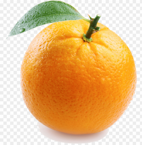 single orange image - things that are color orange Free PNG transparent images