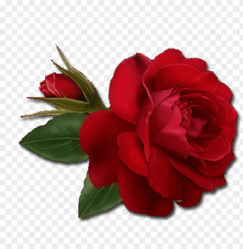 single red rose clipart - single red rose PNG transparent images for printing
