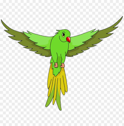 siting parrot - green parrot flying clipart PNG images with alpha transparency bulk