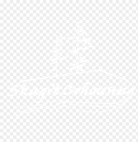 skagitcohousing@gmail - com - playstation white logo Transparent PNG graphics complete collection