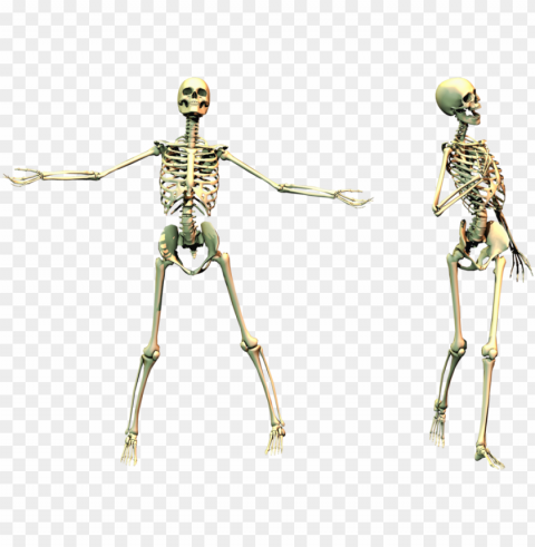 skeleton PNG files with transparent canvas collection PNG transparent with Clear Background ID 47e91c5e