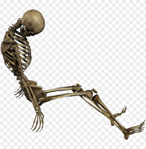 skeleton - drawi Transparent PNG Isolated Item PNG transparent with Clear Background ID 2d918669