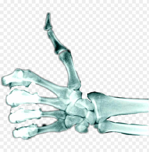 skeleton hand thumbs u Isolated Icon on Transparent Background PNG
