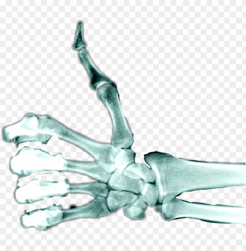 skeleton hand thumbs u Isolated Icon on Transparent Background PNG PNG transparent with Clear Background ID b0656cb1