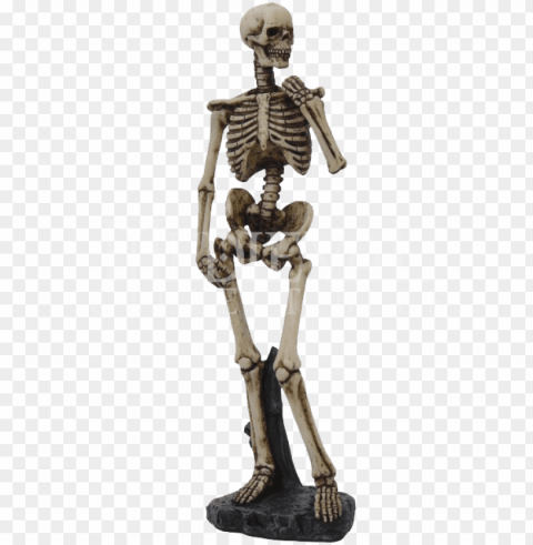 skeleton - michelangelo david skeleto PNG images with alpha transparency wide collection