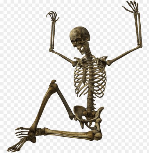 Skeleton Image - Скелеты PNG For Presentations