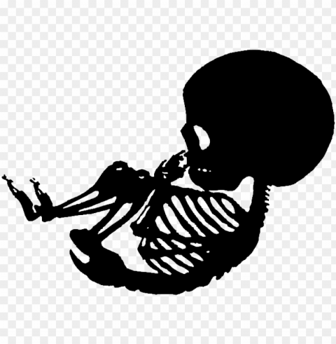 skeleton baby - baby skeleton stencil PNG free download transparent background