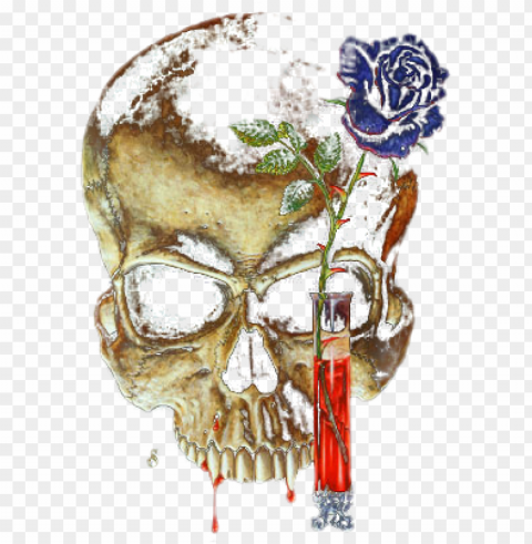 skeletons skulls - skull PNG for social media