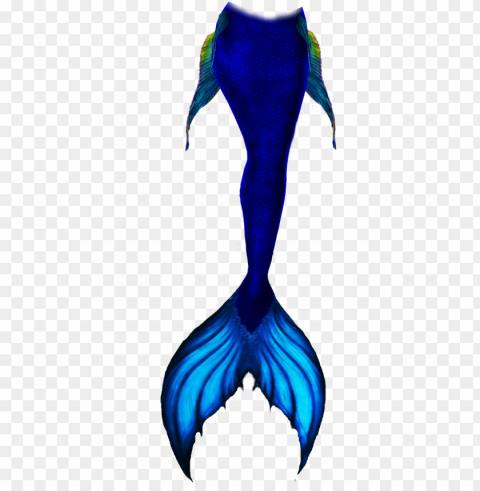 sketch mermaid tail draw Transparent PNG images pack