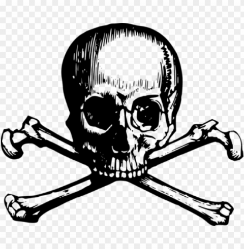 skull and crossbones human skull symbolism jolly roger - modern skull and crossbones PNG images without watermarks