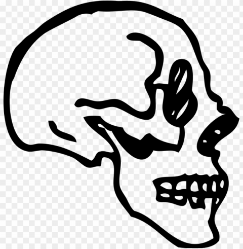 skull bone drawing human skeleton - skull profile transparent PNG for presentations