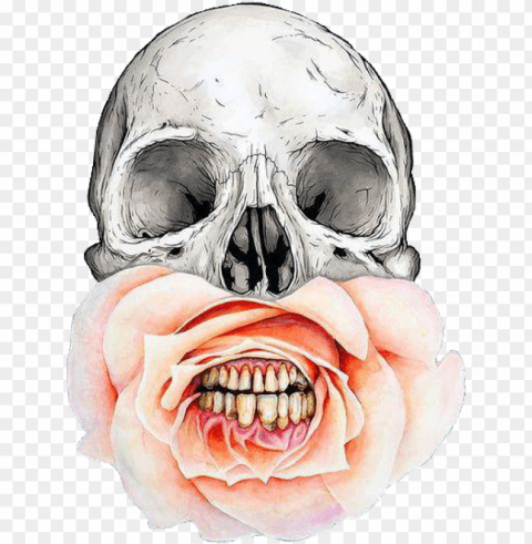 skull flowers and rose image - skulls flowers Transparent PNG images with high resolution
