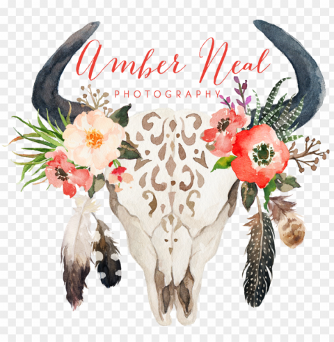 skull logo - cow skull with flowers and feathers High-definition transparent PNG