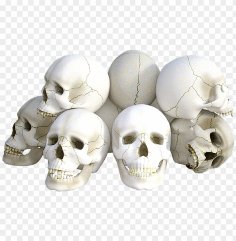 skulls - skulls by express yourself journals 9781539042488 paperback Isolated Subject with Clear Transparent PNG PNG transparent with Clear Background ID fb36a1b3