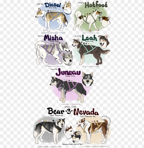 Sled Dog Adopts - Sled Dog Oc Transparent PNG Isolated Object