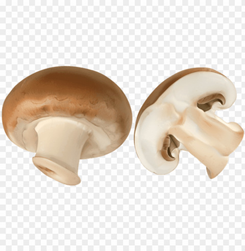 sliced brown mushroom clip art image - champignon mushroom PNG images with transparent space