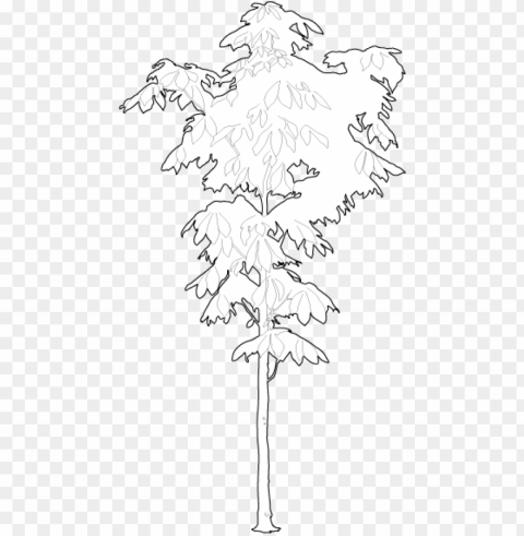small chestnut tree 2d trees - black maple Isolated Character in Transparent PNG