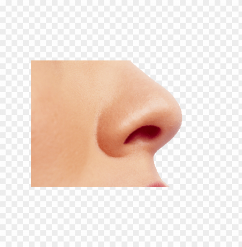 small female nose PNG images with transparent space PNG transparent with Clear Background ID 8cfc23e8