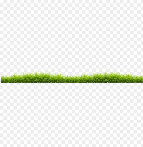 small line of grass - grass PNG images with no background free download