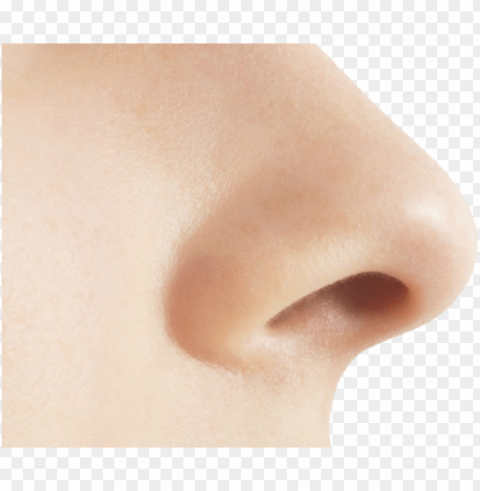 small nose PNG images without BG PNG transparent with Clear Background ID 58321073