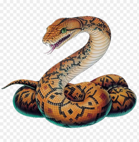 Snake Image - Python Snake Drawi ClearCut Background PNG Isolated Subject