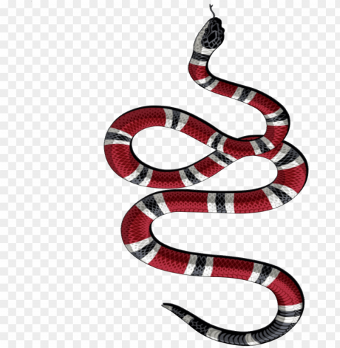 snake tattoo transparent background - gucci snake logo transparent PNG images with no attribution